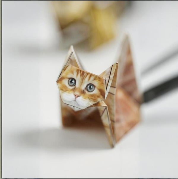 3D Paper Cats Origami Kit – 50 Sheets of Fun Crafting for Kids & Adults